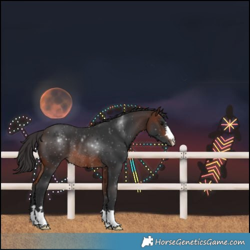 Horse Color:Brown Rabicano