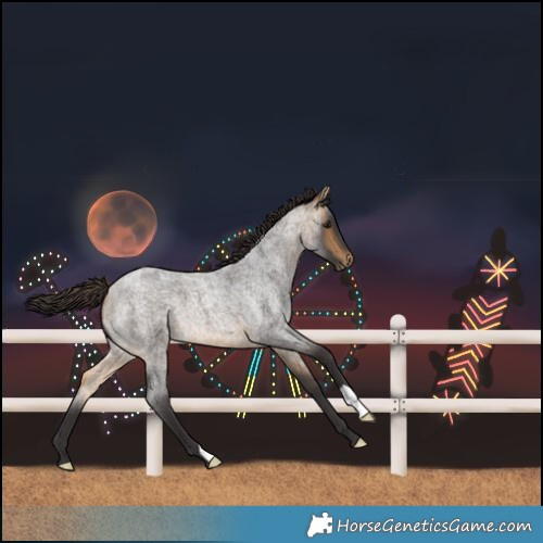 Horse Color:Buckskin Roan