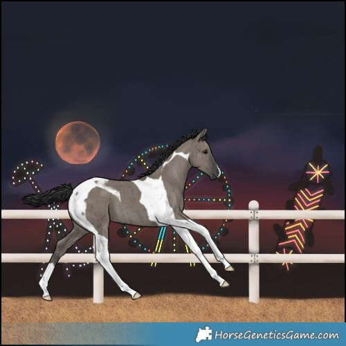 Horse Color:Grullo Tobiano Brindle 