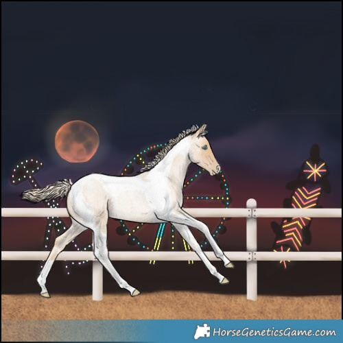 Horse Color:Palomino Roan Pearl Tobiano