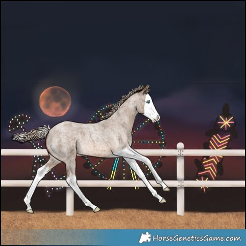 Horse Color:Chocolate Palomino Roan Splash
