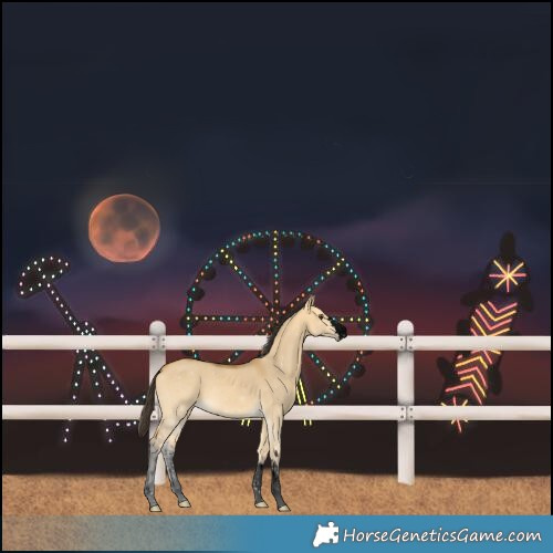Horse Color:Void Buckskin Dun