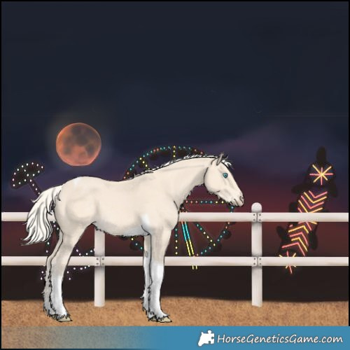 Horse Color:Cremello Tobiano