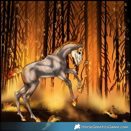 Horse Color:Red Roan