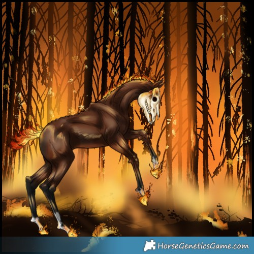 Horse Color:Gray Bay 