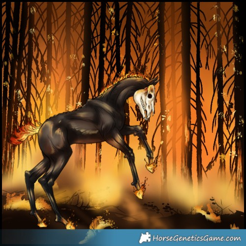 Horse Color:Gray Bay 