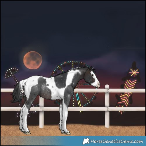 Horse Color:Brown Splash Tobiano Rabicano 