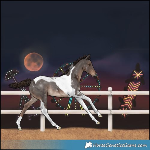 Horse Color:Liver Chestnut Ice Tobiano 