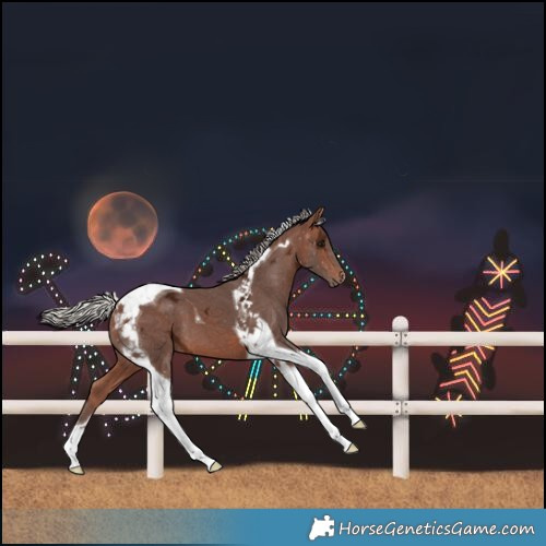 Horse Color:Silver Bay Ice Tobiano 