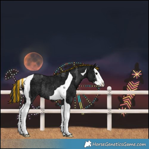 Horse Color:Painted White Spotted Black Ice Splash Tobiano Rabicano 
