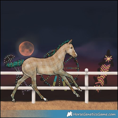 Horse Color:Painted Plaid  Red Dun Rabicano 