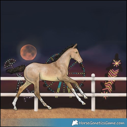 Horse Color:White Spotted Sable Champagne Dun Rabicano