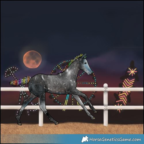 Horse Color:ERROR: UNKNOWN ANOMALY
