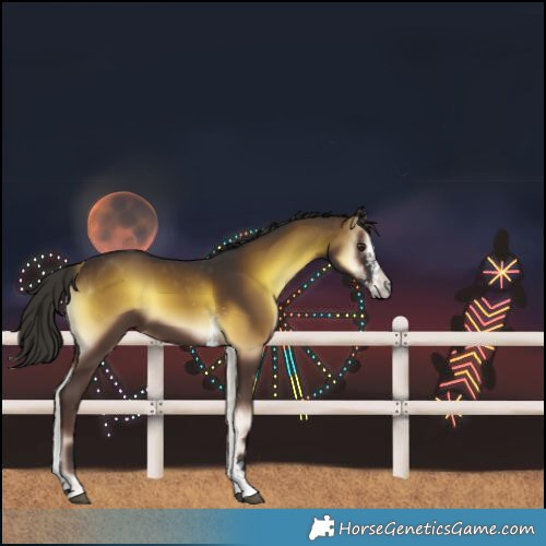 Horse Color:White Spotted Liver Red Onyx