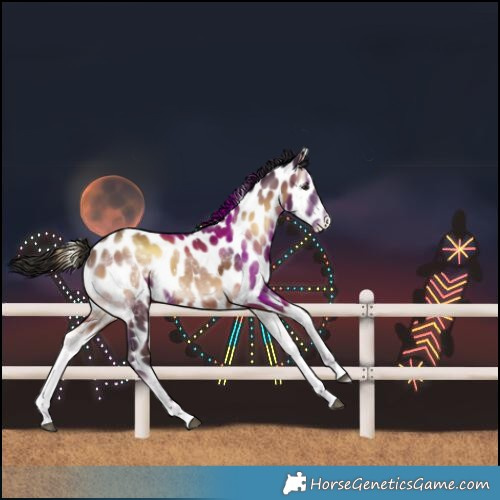 Horse Color:White Spotted Liver Red Onyx Near Leopard 