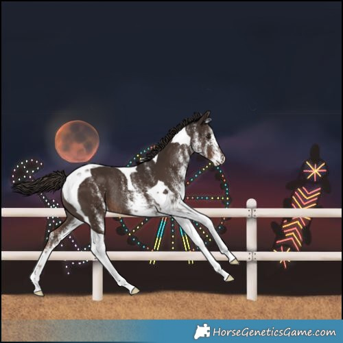 Horse Color:White Spotted Liver Chestnut Tobiano Rabicano 