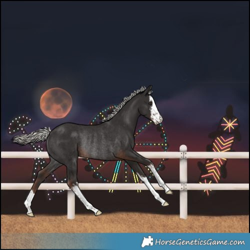 Horse Color:White Spotted Liver Chestnut Mushroom Rabicano 