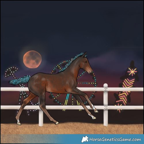 Horse Color:Painted Liver Chestnut Mushroom