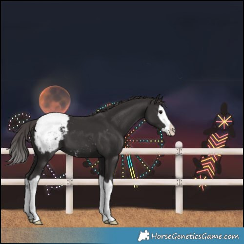 Horse Color:Smoky Black Splash Snowcap 