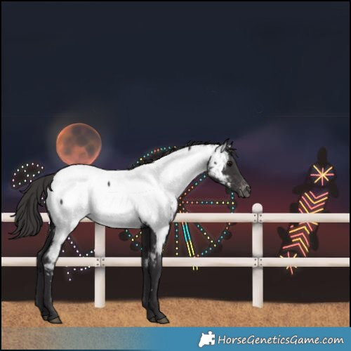 Horse Color:Smoky Black Near Fewspot