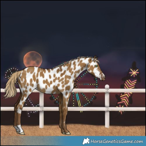 Horse Color:Chocolate Palomino Dun Near Leopard