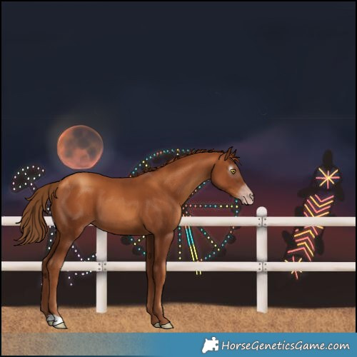 Horse Color:Unknown 