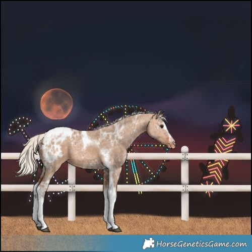 Horse Color:Unknown 