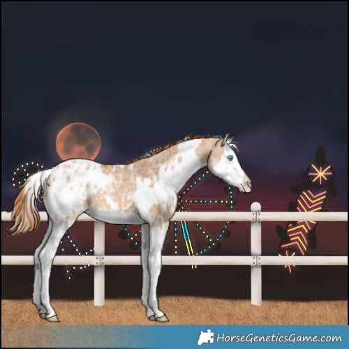 Horse Color:Unknown 