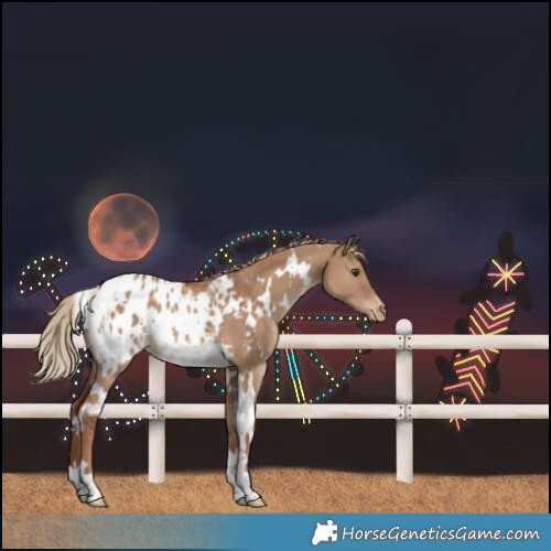 Horse Color:Unknown 