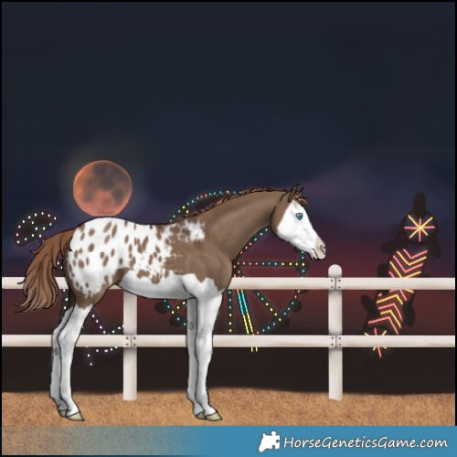 Horse Color:Liver Red Dun Splash Varnish 