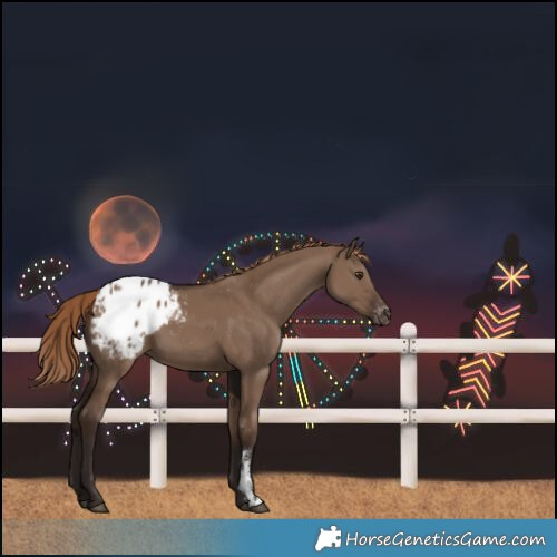 Horse Color:Liver Red Dun Sabino Blanket 