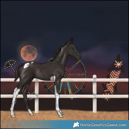 Horse Color:Liver Chestnut Tobiano Rabicano
