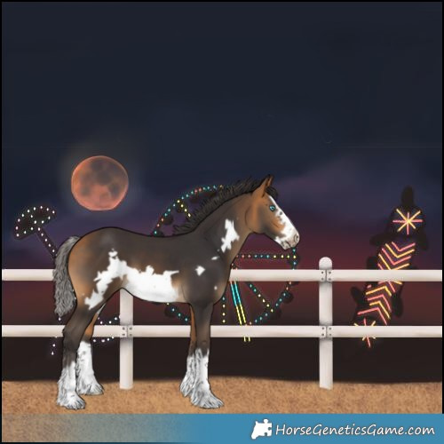 Horse Color:Buckskin Splash Frame 