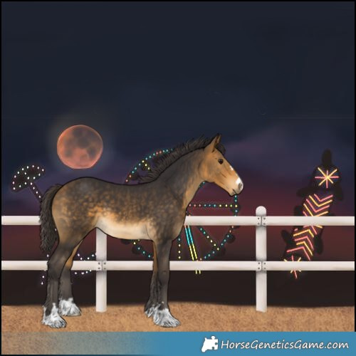 Horse Color:Buckskin 
