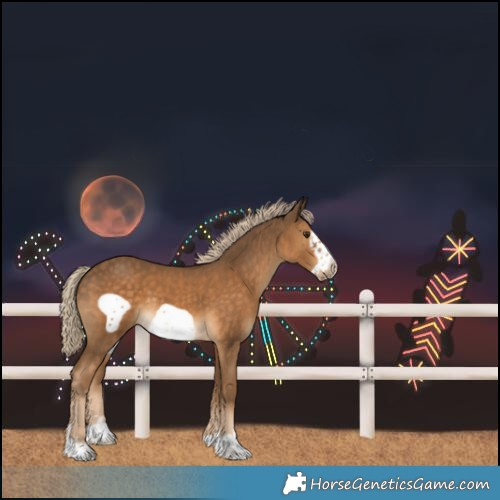Horse Color:Chocolate Palomino Frame 