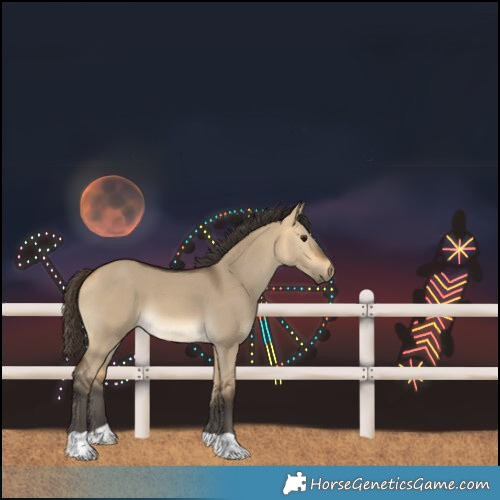 Horse Color:Buckskin Dun 