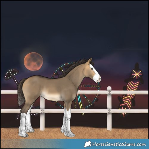 Horse Color:Buckskin Dun Splash 