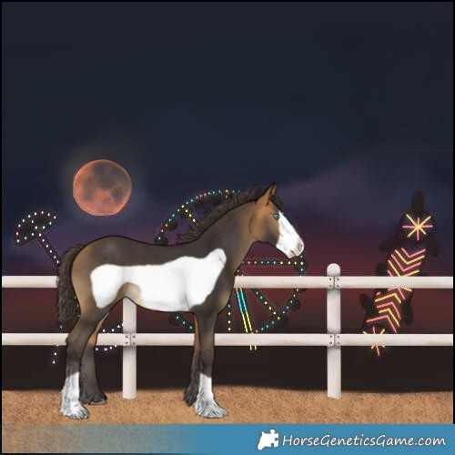 Horse Color:Buckskin Frame