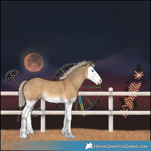 Horse Color:Chocolate Palomino Dun Splash
