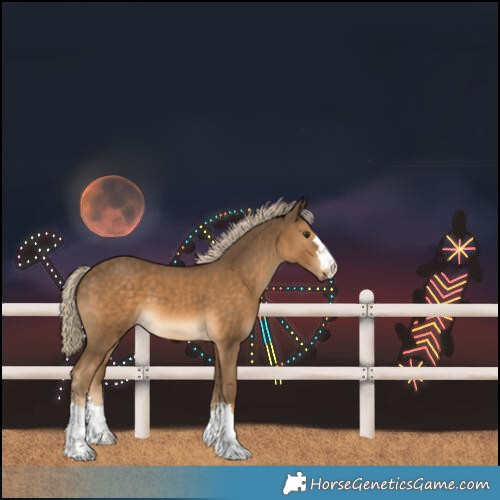 Horse Color:Chocolate Palomino 