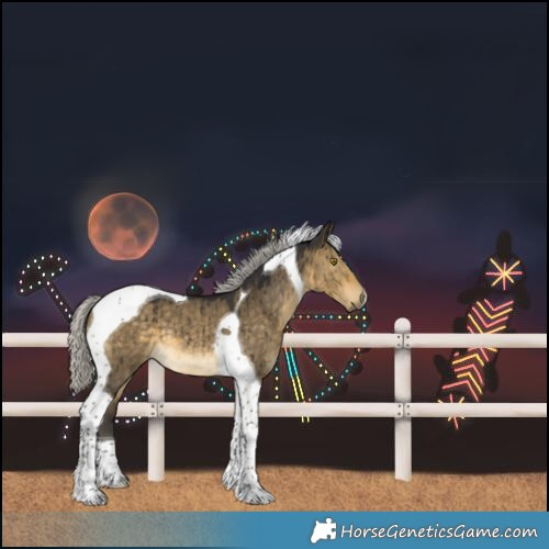 Horse Color:Silver Buckskin Dun Tobiano Brindle