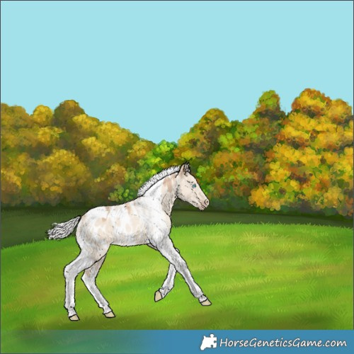 Horse Color:Powder White Silver Perlino Dun Tobiano Near Leopard