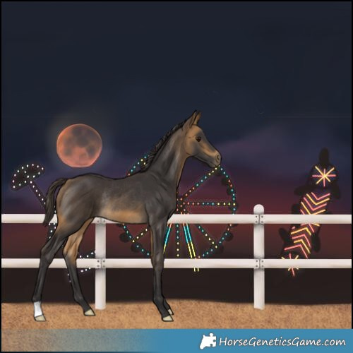 Horse Color:Buckskin Rabicano