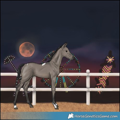 Horse Color:Grullo Tobiano Rabicano