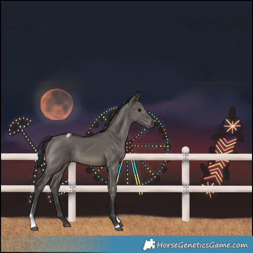 Horse Color:Grullo Tobiano