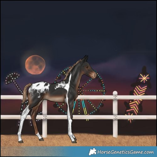 Horse Color:Liver Chestnut Tobiano Blanket 