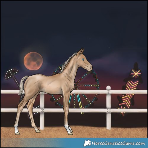 Horse Color:Liver Chestnut Snowdrop 