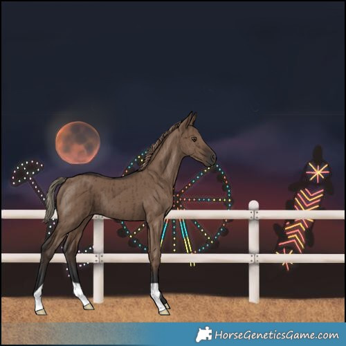 Horse Color:Liver Red Dun Brindle 