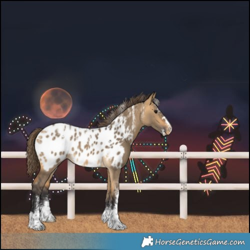 Horse Color:Powder White Buckskin Dun Near Leopard
