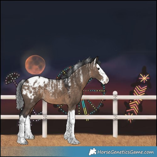 Horse Color:Powder White Brown Dun Splash Blanket 
